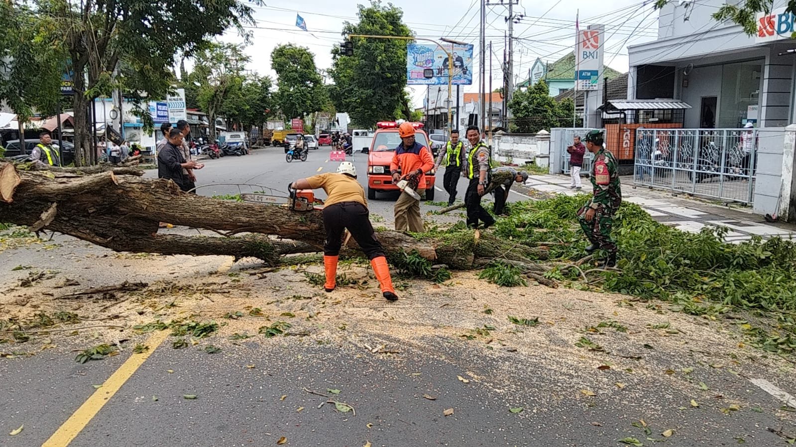 Aksi Cepat Babinsa Sertu Arief Suherman Bantu Evakuasi Pohon Tumbang di Jalur Utama Rogojampi